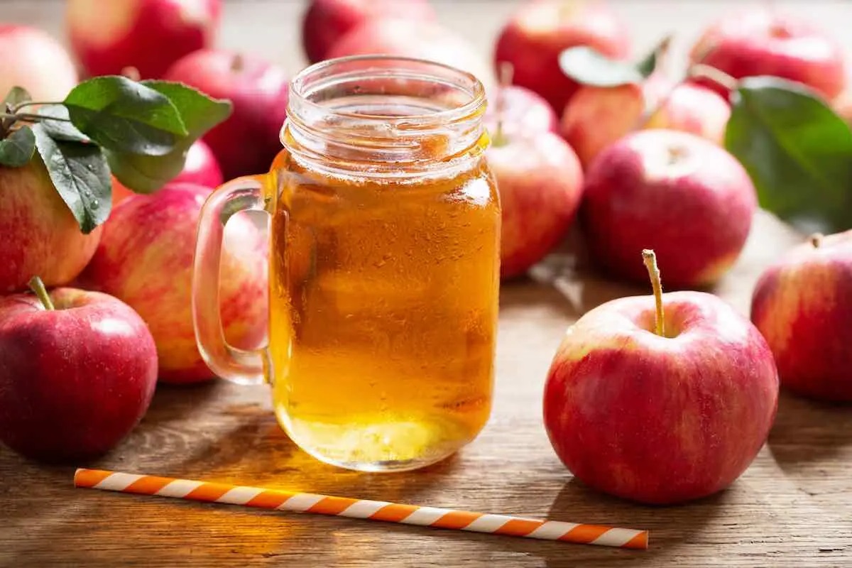 apple-juice-recipe